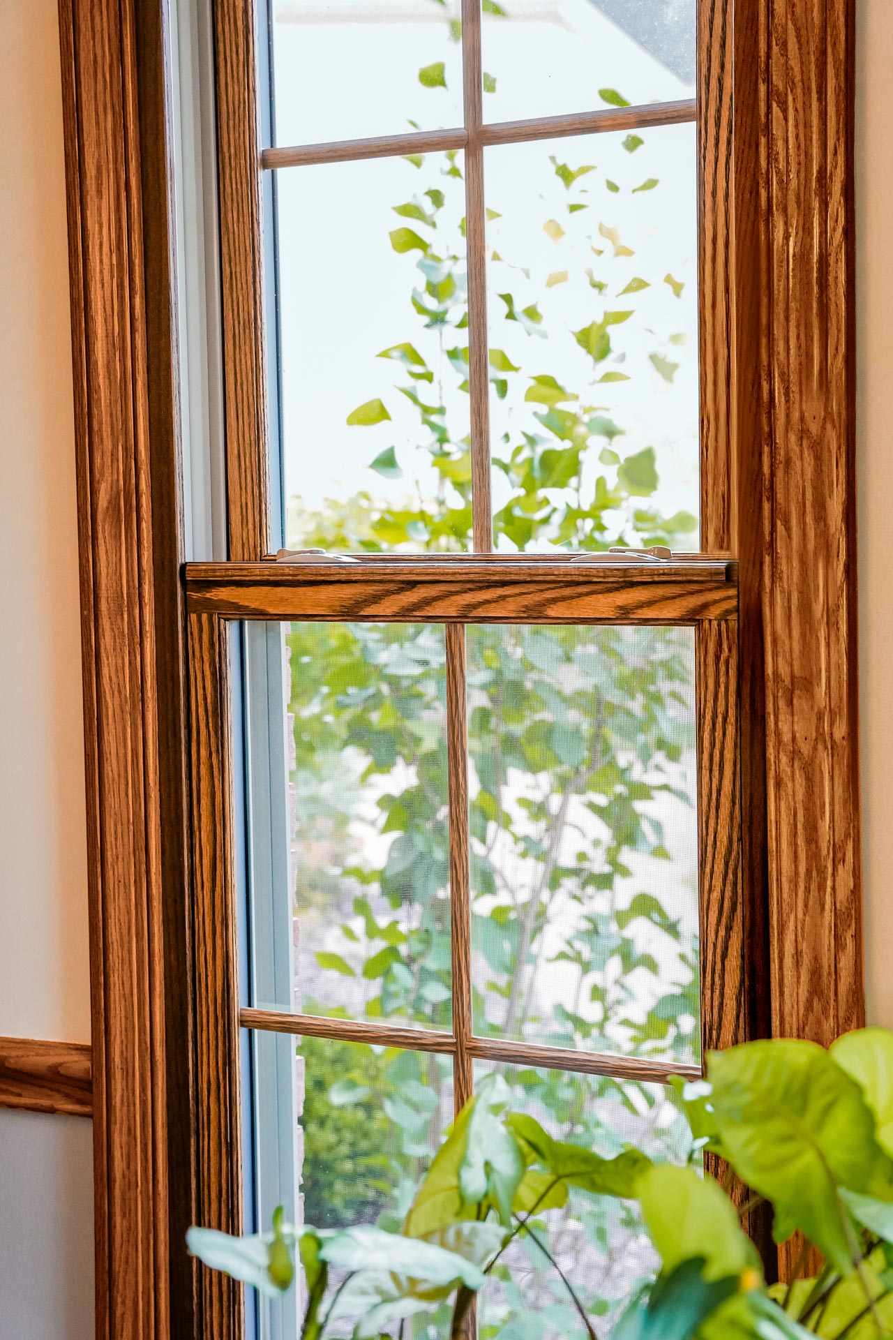 Aeris double hung wood-clad window in Caramel with colonial grids