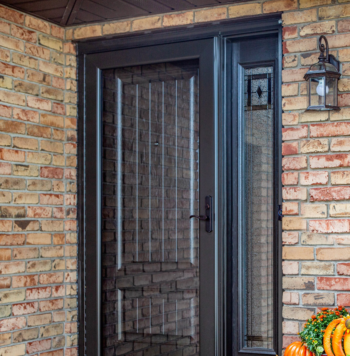 Enhance Your Home with Decorative Glass Storm Doors