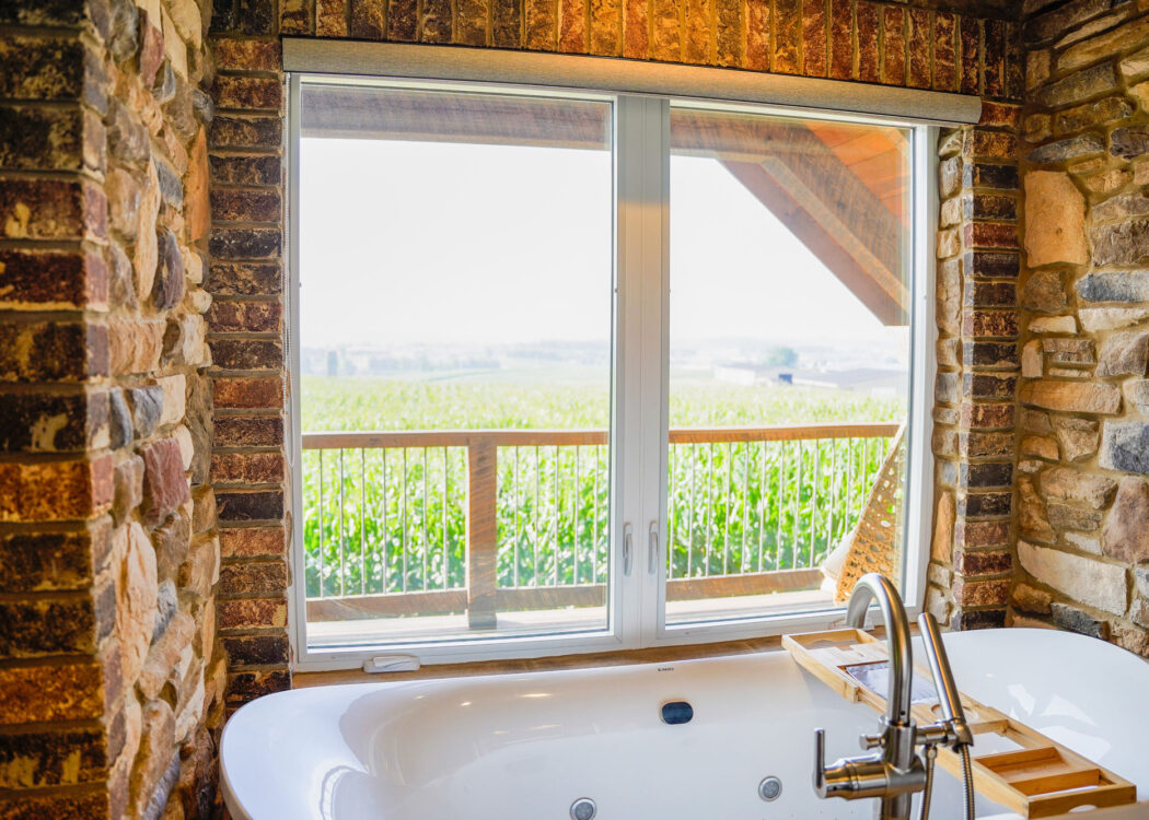 Interior view of Endure™ Casement Windows in White in a bathroom with a view of the countryside